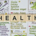 The Healing Power of Herbal Detox: How to Rejuvenate Your Body Inside and Out