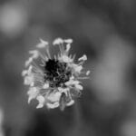 The Science Behind Anti-Inflammatory Properties: How They Can Improve Your Wellbeing