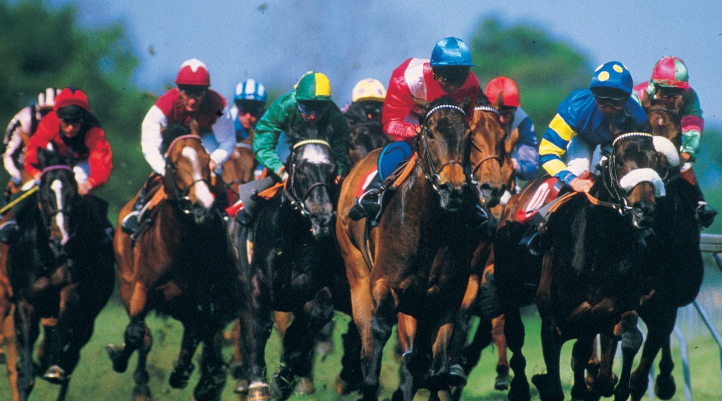 The Tale of The Horse Immediate Espresso