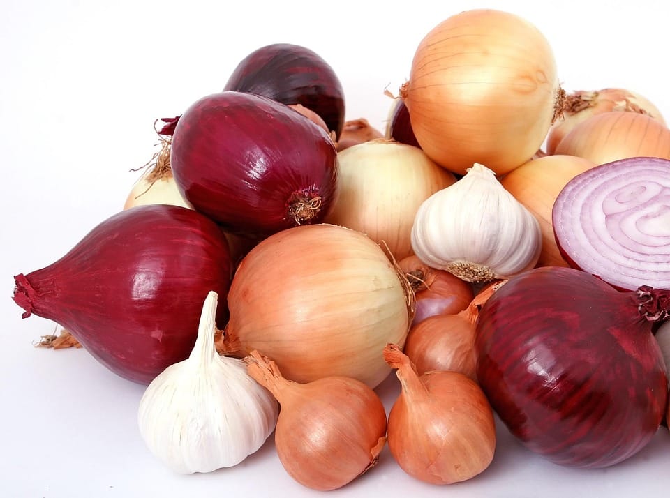 Unlocking the Healing Properties of Natural Ingredients in Skincare