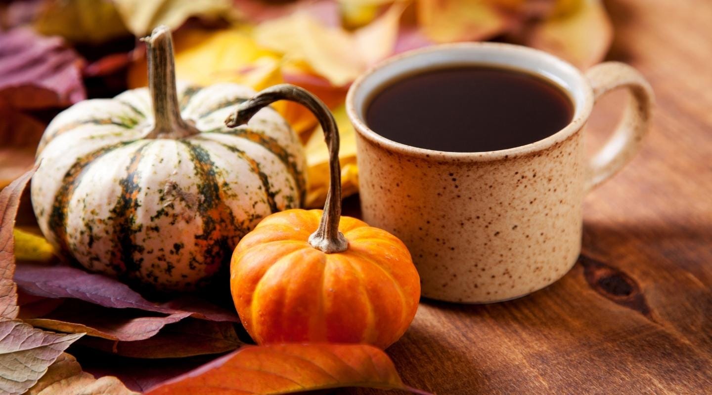 14 Best possible Flavored Coffees to Aim Proper Now