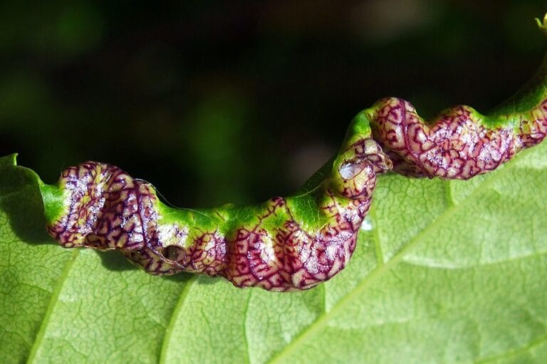 10 Surprising Ways to Speed Up Your Metabolism