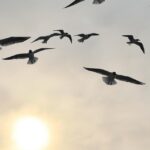 Say Goodbye to Fatigue: Expert Tips for Boosting Your Energy Levels