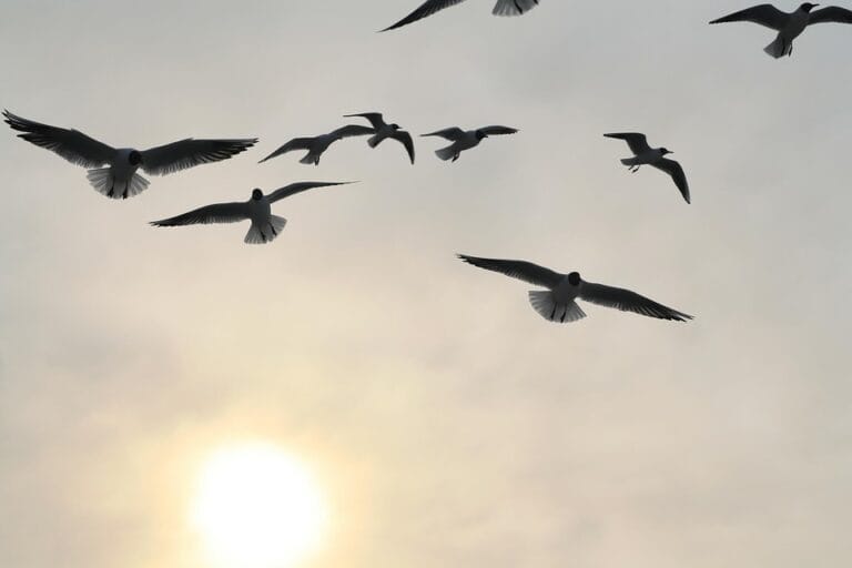 Say Goodbye to Fatigue: Expert Tips for Boosting Your Energy Levels