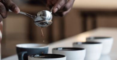 A Take a look at the African College of Espresso’s First Age
