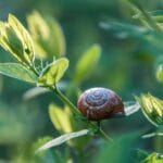 Breaking Bad Habits: How to Overcome Emotional Eating with Appetite Control