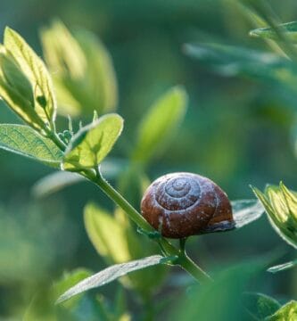 Breaking Bad Habits: How to Overcome Emotional Eating with Appetite Control