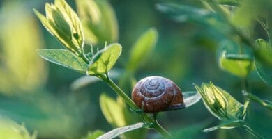 Breaking Bad Habits: How to Overcome Emotional Eating with Appetite Control