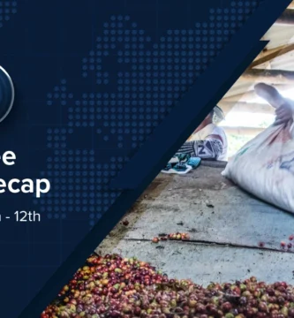 Espresso Information Recap, 12 Sep: Espresso probably discharged from US price lists in moment industry offers, Conab cuts Brazil 2025 arabica estimates via 5% & alternative tales