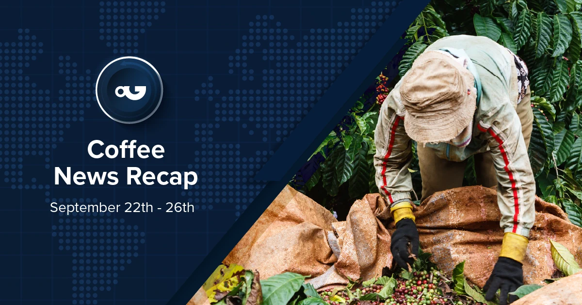 Espresso Information Recap, 26 Sep: Dubai café sells record-breaking Gesha for US0 in keeping with cup, Ecu Fee proposes backup one-year lengthen to EUDR & alternative tales