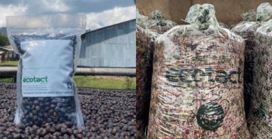 From coverage to packaging: What roasters wish to find out about EUDR-ready espresso