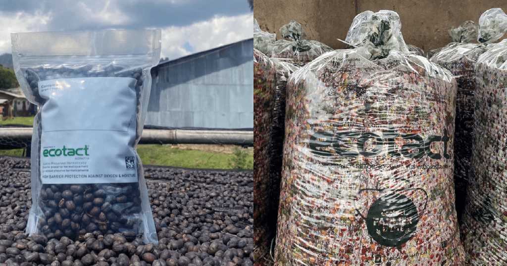 From coverage to packaging: What roasters wish to find out about EUDR-ready espresso From coverage to packaging: What roasters wish to find out about EUDR-ready espresso