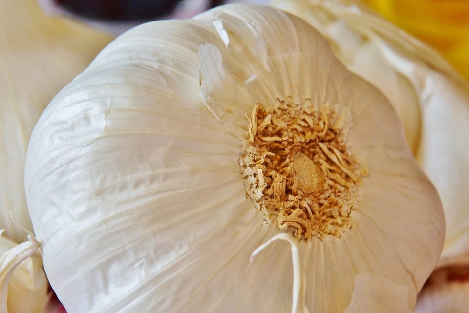 Revolutionize Your Beauty Routine with Natural Ingredients