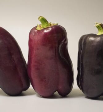 Simple Ways to Improve Digestion and Prevent Bloating