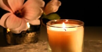 Sip Your Way to Better Health: The Rise of Wellness Drinks in the Health and Wellness Industry