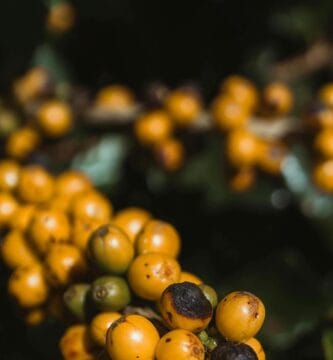 Slavery-Like Situations Reported + Get dressed Code Complaints