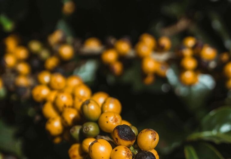 Slavery-Like Situations Reported + Get dressed Code Complaints