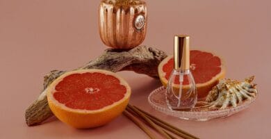 The Benefits of Adding Wellness Drinks to Your Daily Routine