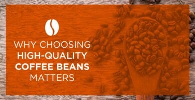 Your Espresso Beans Topic – Options of Component Espresso Beans