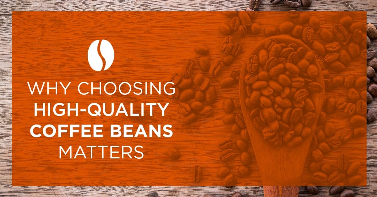 Your Espresso Beans Topic – Options of Component Espresso Beans