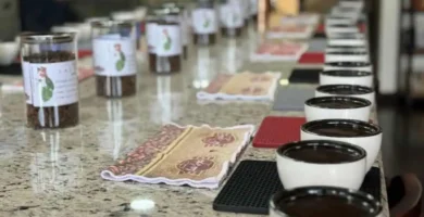 Costa Rica Espresso Record and Evaluations: Espresso Assessment