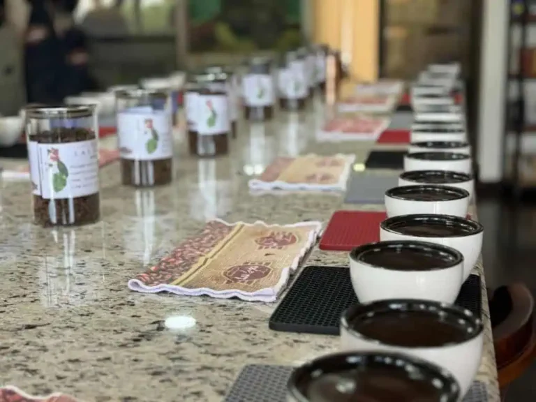 Costa Rica Espresso Record and Evaluations: Espresso Assessment