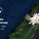 Espresso Information Recap, 3 Oct: Brazilian espresso intake decreases as home costs stand, unutilized file worth of US,878/kg for Yemeni espresso & alternative tales