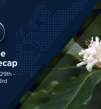 Espresso Information Recap, 3 Oct: Brazilian espresso intake decreases as home costs stand, unutilized file worth of US,878/kg for Yemeni espresso & alternative tales