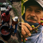 Espresso costs are larger now – so what’s nearest?