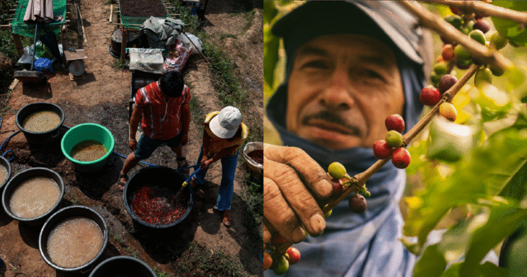 Espresso costs are larger now – so what’s nearest?