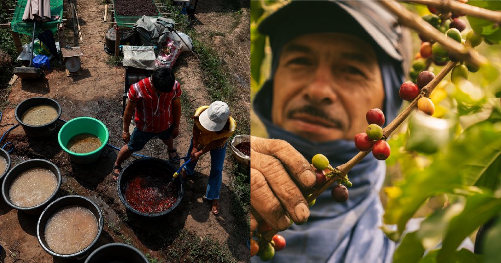 Espresso costs are larger now – so what’s nearest?