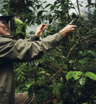 Longboard Area of expertise Espresso Units Public sale Data a While Nearest Founder Dies