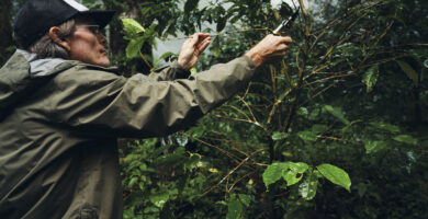 Longboard Area of expertise Espresso Units Public sale Data a While Nearest Founder Dies