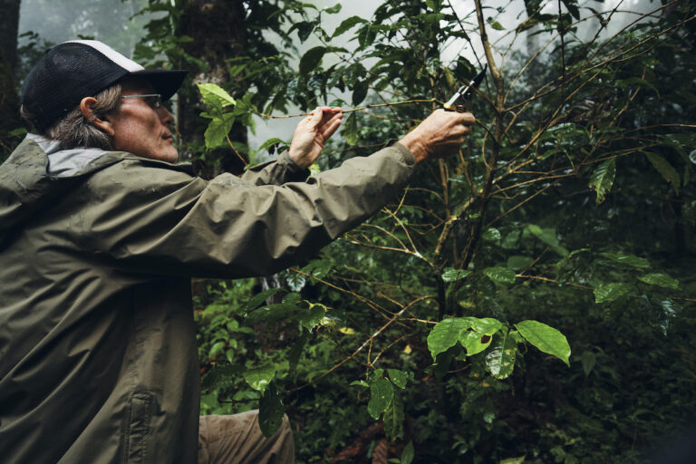 Longboard Area of expertise Espresso Units Public sale Data a While Nearest Founder Dies