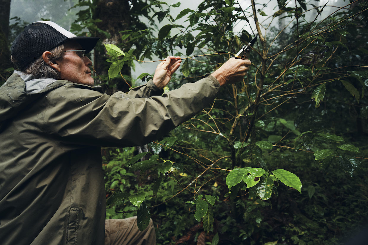 Longboard Area of expertise Espresso Units Public sale Data a While Nearest Founder Dies