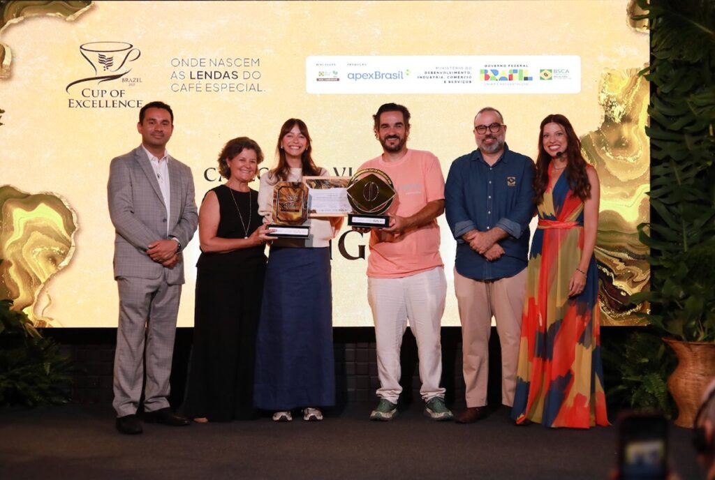 Brazil CoE Winners + Untouched On-line Scorching Categories