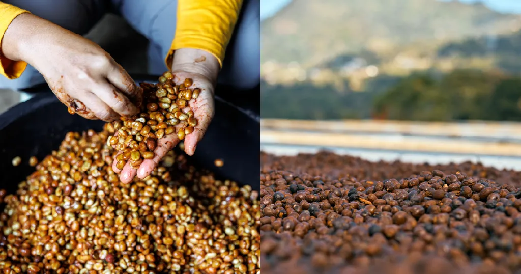 Co-ferments vs. yeast inoculation: What’s the residue?