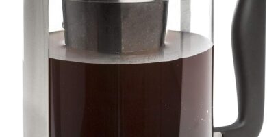 Primula Kedzie Deluxe Cold Brew Iced Coffee Maker Comfort Grip Handle, Durable Glass Carafe, Removable Mesh Filter, 6 Cup, Brushed Stainless Steel Primula Kedzie Deluxe Cold Brew Iced Coffee Maker Comfort Grip Handle, Durable Glass Carafe, Removable Mesh Filter, 6 Cup, Brushed Stainless Steel