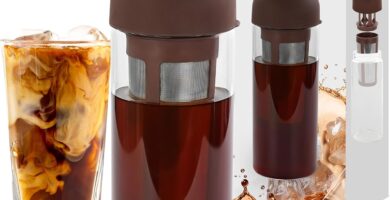 Cold Brew Bottle, 27oz Wine Bottle Shape Tumbler for Iced Coffee or Tea Infuser with Removable Filter- Heatproof Glass, Easy To Hold and Pour