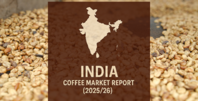 Production Down Slightly as Brazil Competition Picks Up