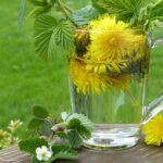 The Benefits of Herbal Detox: How to Cleanse Your Body Naturally