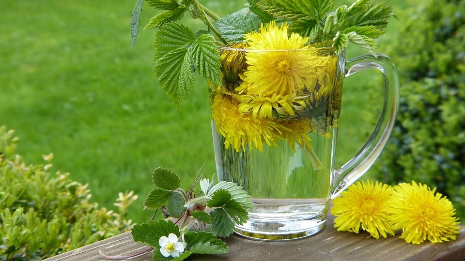 The Benefits of Herbal Detox: How to Cleanse Your Body Naturally