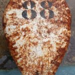 Unleashing the Power of Fat Oxidation: The Key to Sustainable Weight Loss