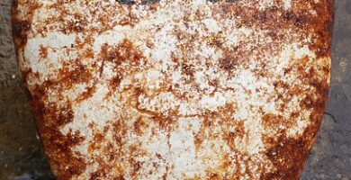 Unleashing the Power of Fat Oxidation: The Key to Sustainable Weight Loss