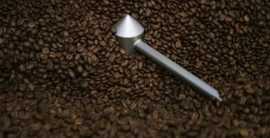 20 U.S. Roasters Named 2026 Good Food Awards Coffee Finalists