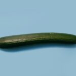 Coffee Grounds as Fertilizer Can Make Better Cucumbers