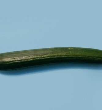 Coffee Grounds as Fertilizer Can Make Better Cucumbers