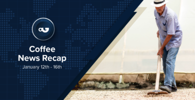 Coffee News Recap, 16 Jan: Coca-Cola reportedly pulls Costa sale, ICO says easing supply fears drove coffee prices down in Dec & other stories