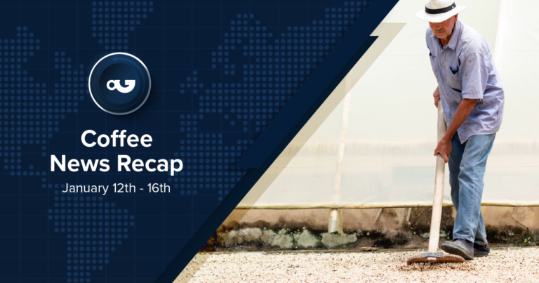 Coffee News Recap, 16 Jan: Coca-Cola reportedly pulls Costa sale, ICO says easing supply fears drove coffee prices down in Dec & other stories