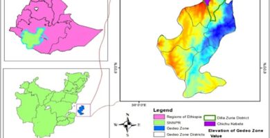 Ethiopia Study Identifies Key Variables Affecting Arabica Production Ethiopia Study Identifies Key Variables Affecting Arabica Production